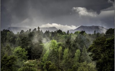 Stormy Hogsback