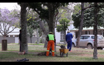 Oatlands Park Clean Up