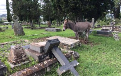 The Old Cemetery