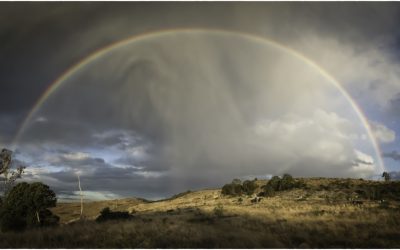 Rainbow over the N2 cuttings