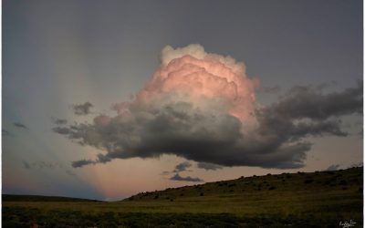 Karoo Flashback