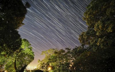 Lockdown Star Trails